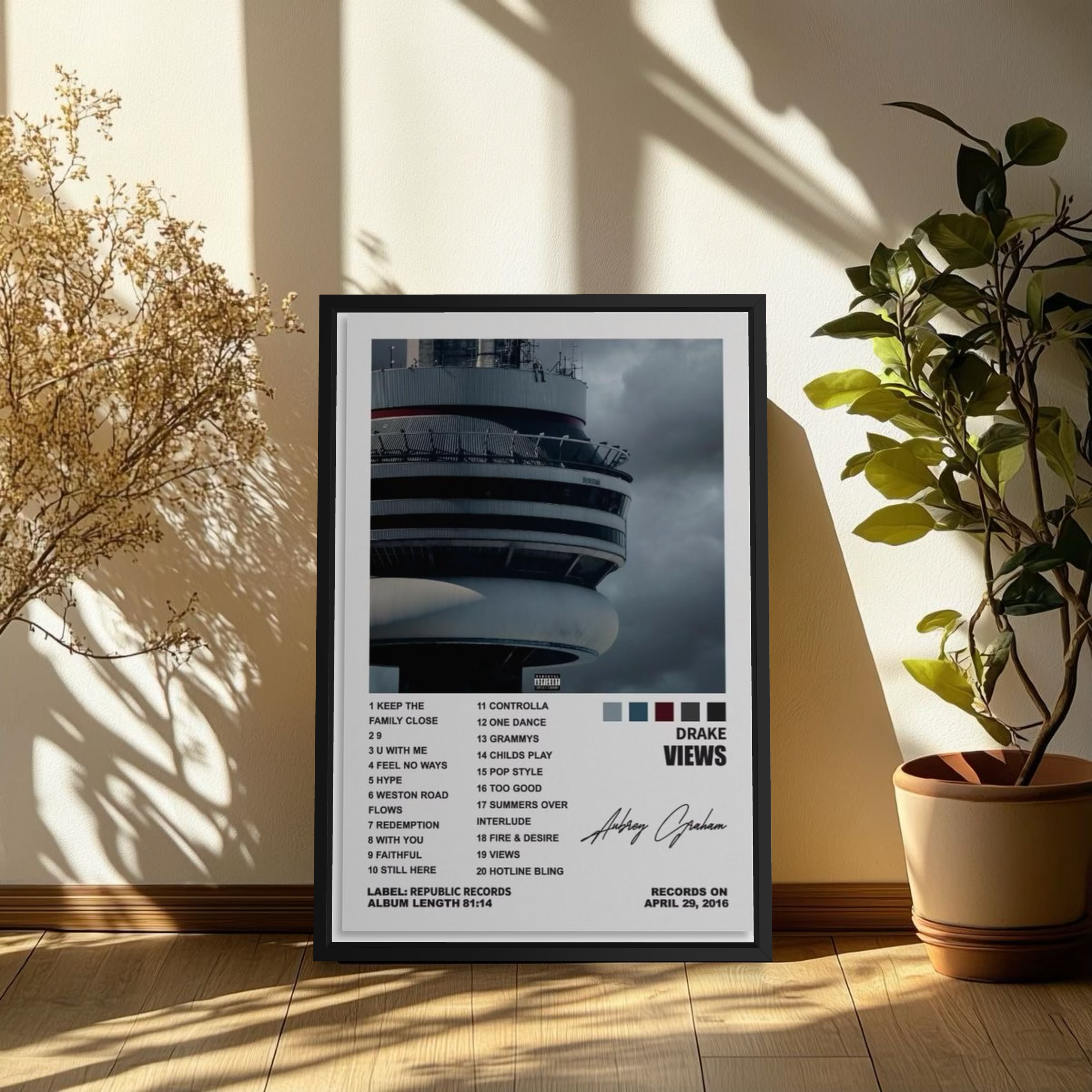 DRAKE / VIEWS