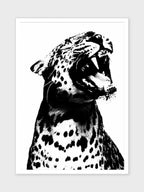 LEOPARDO