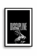 DISCIPLINE