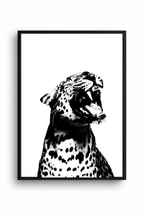 LEOPARDO