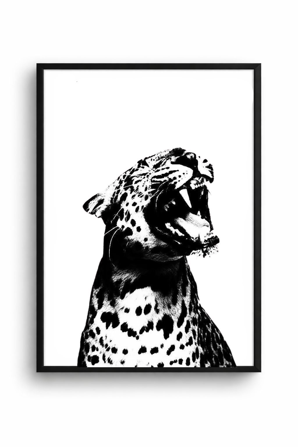 LEOPARDO